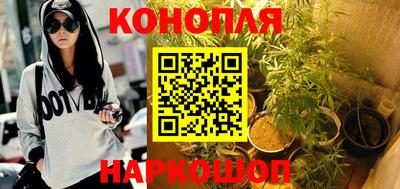 гашик Нальчик