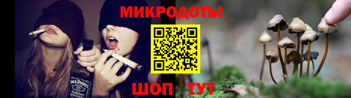 Галлюциногенные грибы мухоморы  Вход с VPN  Улан-Удэ  Галлюциногенные грибы Psilocybe 